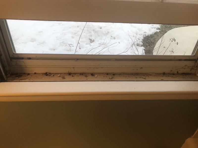 Extremely dirty sill in need of replacement